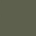 0NA RAL 6003 mat