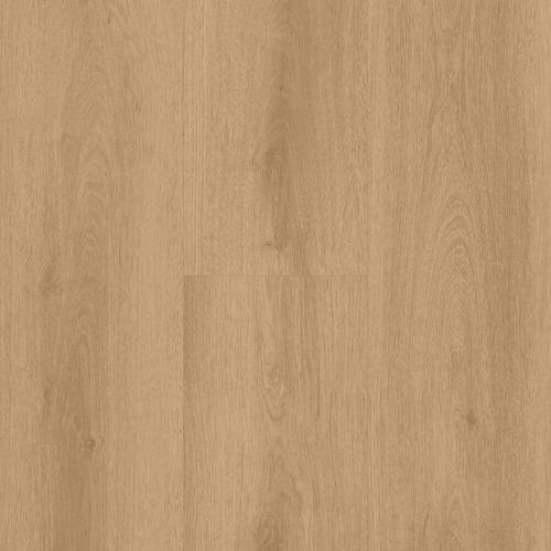 SPC Spirit Soul GD 55 Jutta 60002391