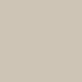 0M6 beige mat (NCS S 2005 Y50R)