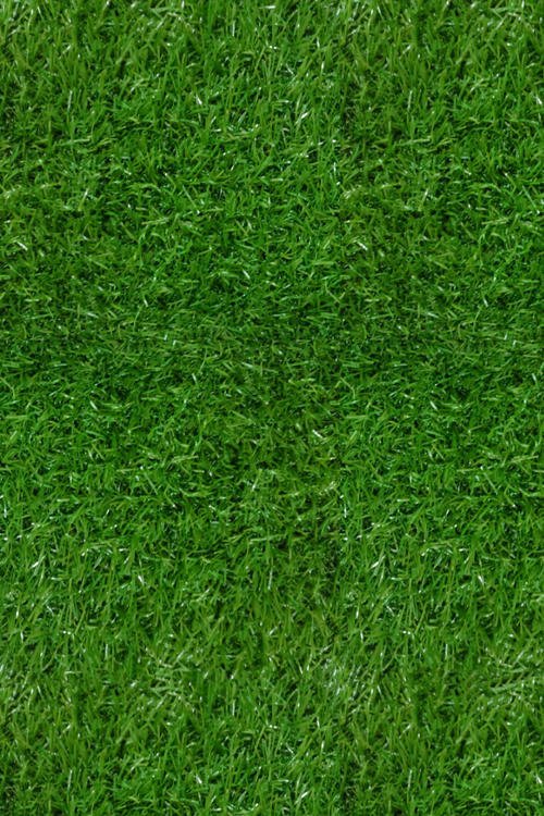 Изкуствена трева Erba (700), зелена 4 м