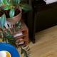 QS Bloom AVMPU40104 Cotton oak natural  5+1mm 4