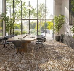 Кои са най-предпочитаните видове мокети през 2025?