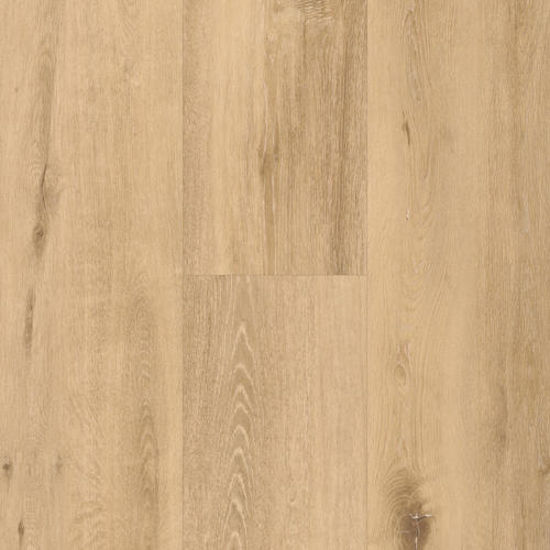 SPC Spirit Soul GD 55 Allegra 60002395