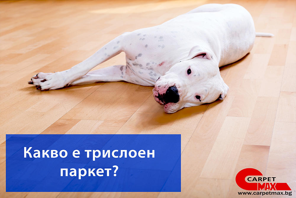 Какво е трислоен паркет? - CarpetMax Какво е трислоен паркет?