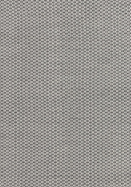 Килим Rhythm, черно-бял (248001101)