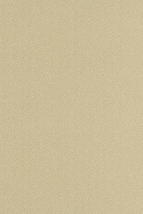 Тапет Sambesi 5903-27