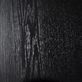451 black mat