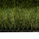 Изкуствена трева Charm, зелена 4 м. 3