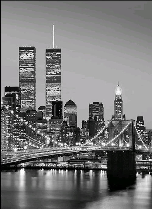 Фототапет Manhattan Skyline at Night 183*254