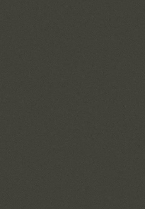 Килим Skin, черно (2144/Y508)