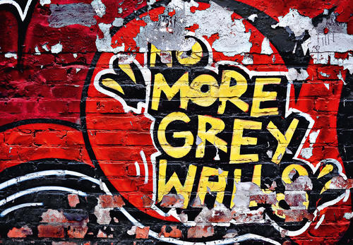 Фототапет No More Grey Walls 366*254