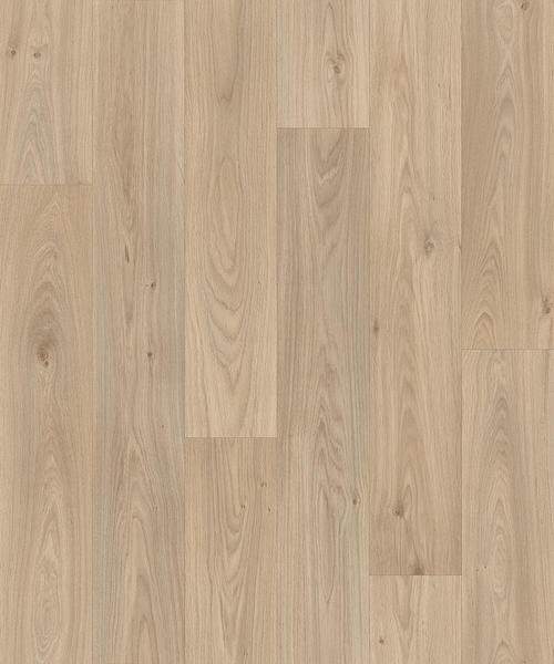 Blacktex gambel oak/119M/4