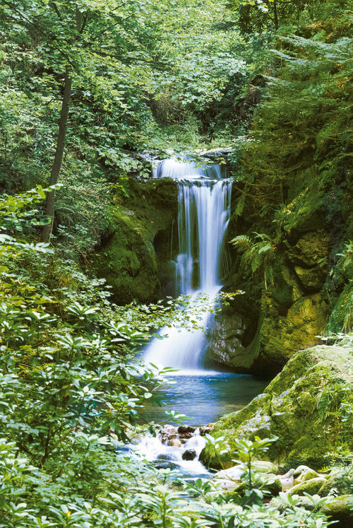 Фототапет Waterfall in Spring 183*254