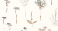 Тапет Natural Forest NF3301