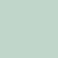 0MG RAL 7035 MAT