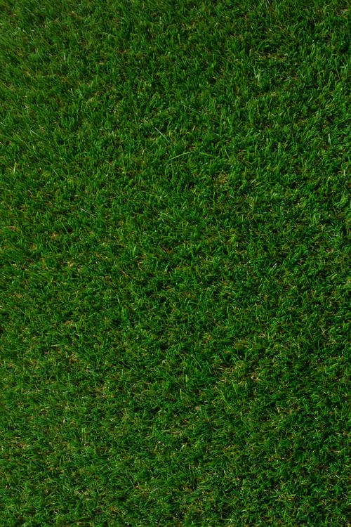 Изкуствена трева Cosmo (3014), зелена 4 м